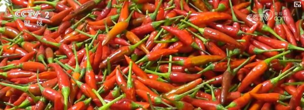 各地冬“鲜”捏续上市，丰富庶民冬日菜篮子